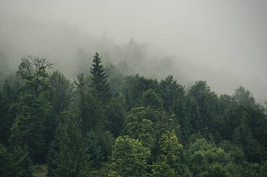 Sisli dağ manzarası