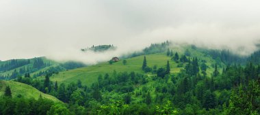 Yeşil bir dağ yamacında küçük bir ev