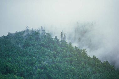 Sisli dağ manzarası