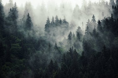 Sisli dağ manzarası