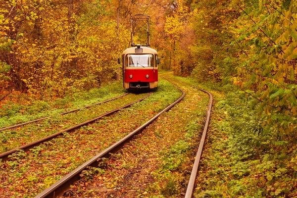 Tram rosso vintage — Foto Stock
