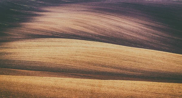 Earthy abstract background — Stock Photo, Image