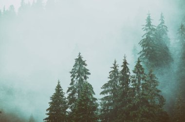 Sisli dağ manzarası