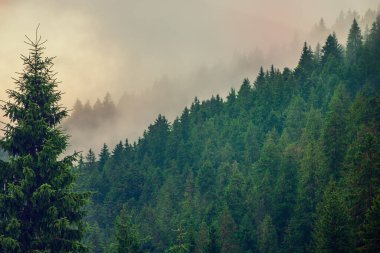 Sisli dağ manzarası