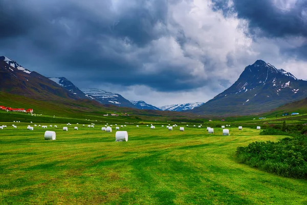 Paisagem montanhosa islandesa — Fotografia de Stock