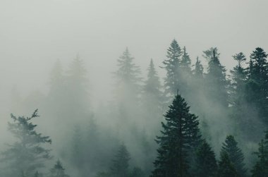 Sisli dağ manzarası