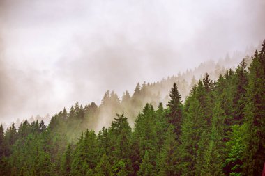 Sisli dağ manzarası