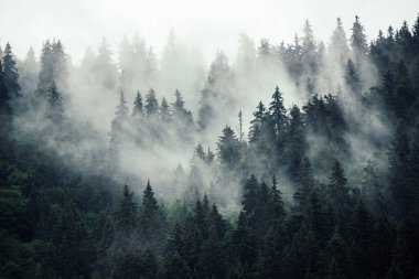 Sisli dağ manzarası