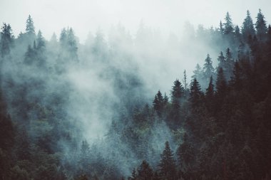 Sisli dağ manzarası