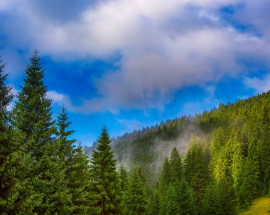 Sisli dağ manzarası