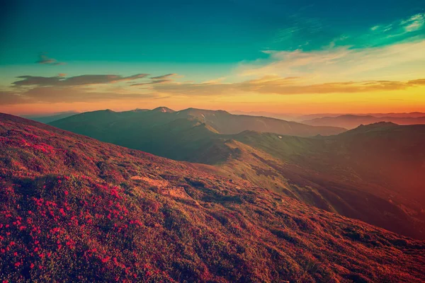 Amazing mountain sunrise — Stock Photo, Image