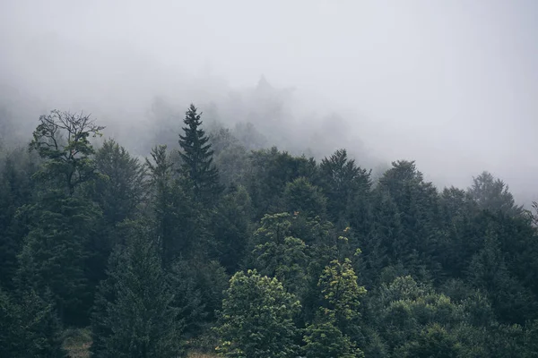 Misty paisaje de montaña — Foto de Stock