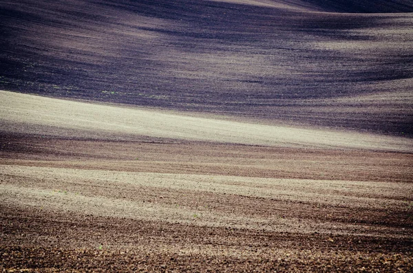 Topraksı soyut arkaplan — Stok fotoğraf