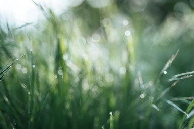 Doğal soyut arkaplan