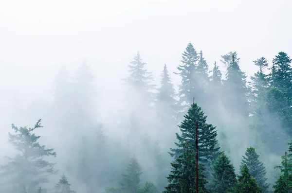 多雾的山景 — 图库照片