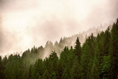 Sisli dağ manzarası