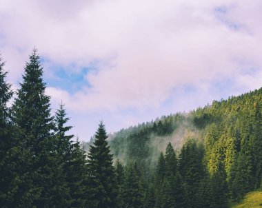 Sisli dağ manzarası