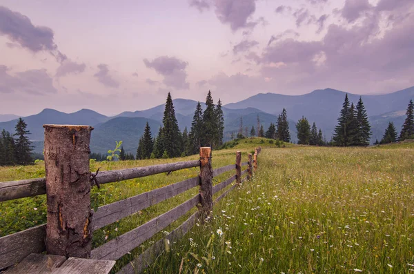 Montagna paesaggio estivo — Foto Stock