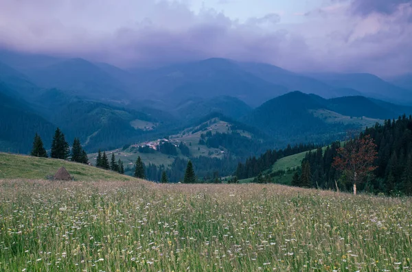 Karpaten berglandschap — Stockfoto
