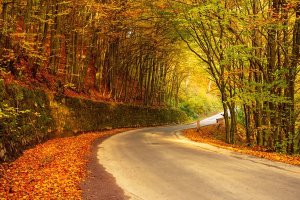 Hermoso paisaje de otoño —  Fotos de Stock