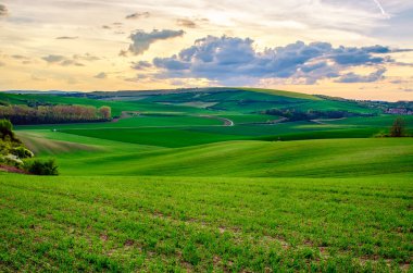 Kırsal ilkbahar manzarası