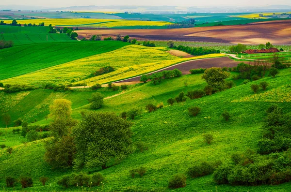 Ländliche Frühlingslandschaft — Stockfoto