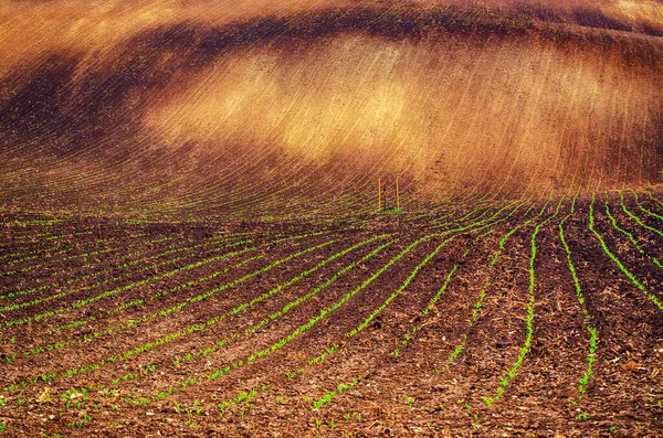 Fundo abstrato terrestre — Fotografia de Stock