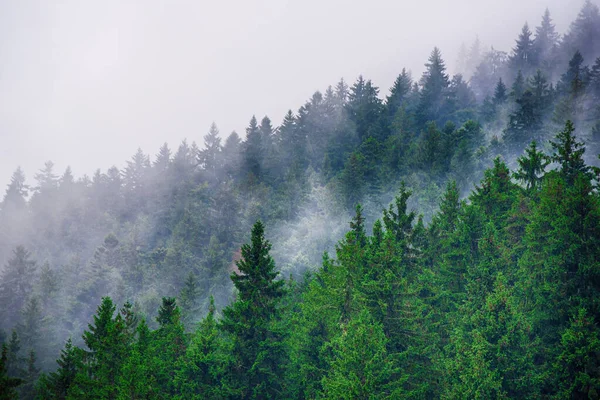 Paesaggio di montagna nebbioso — Foto Stock