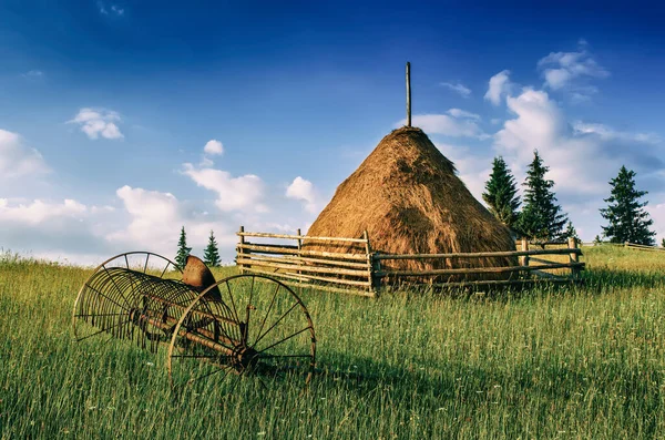 Karpaten berglandschap — Stockfoto