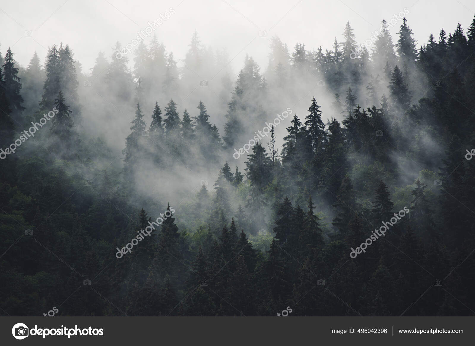 Misty mountain landscape Stock Photo by ©Roxana 496042396
