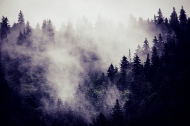 Misty mountain landscape clipart