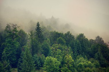 Sisli dağ manzarası