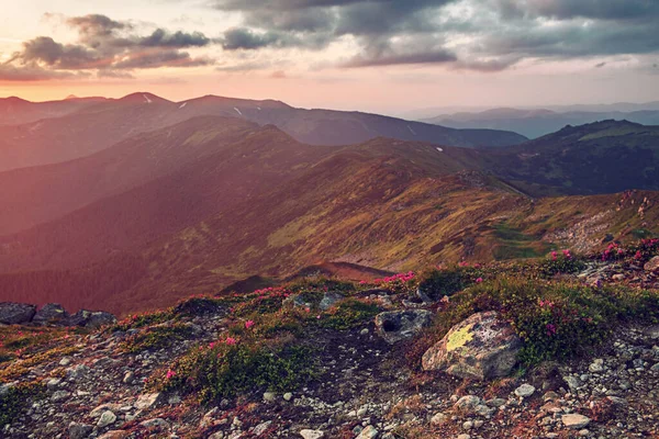 Amazing mountain landscape — Stock Photo, Image