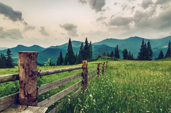 Montagna paesaggio estivo — Foto Stock