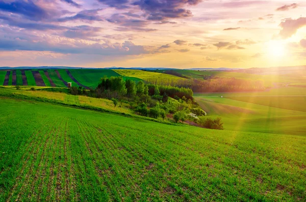 Ländliche Frühlingslandschaft — Stockfoto