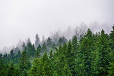 Sisli dağ manzarası