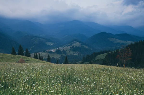 Carpathian mountain landscape — Stock Photo, Image