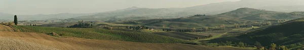 Wavy fields in Tuscany — Stock Photo, Image