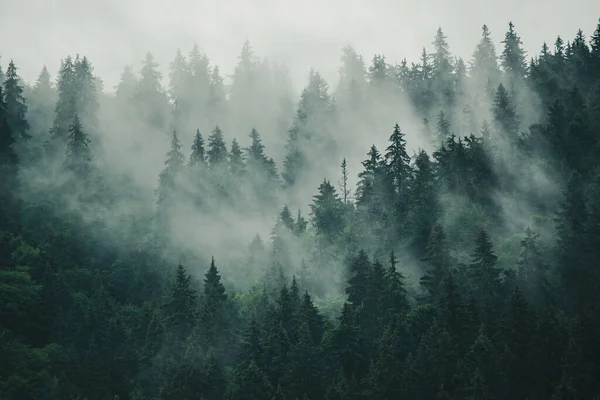 Nebelige Berglandschaft — Stockfoto