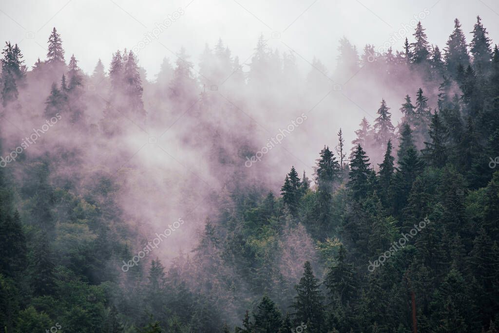 Misty mountain landscape