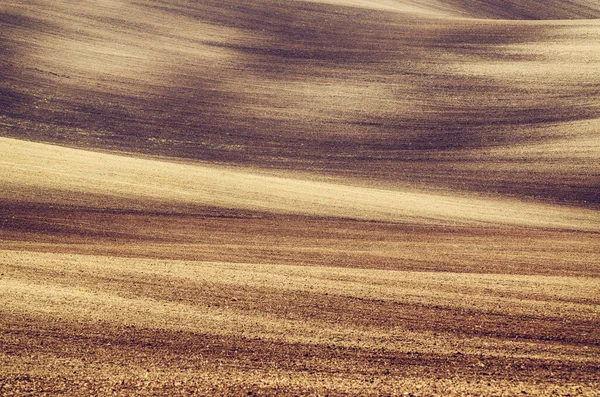 Earthy abstract background — Stock Photo, Image