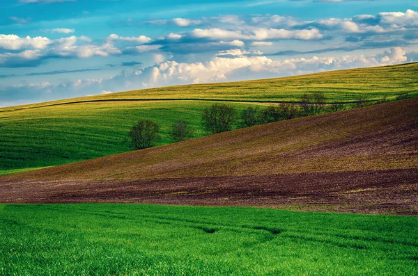 Ländliche Frühlingslandschaft — Stockfoto