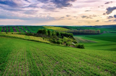 Kırsal ilkbahar manzarası