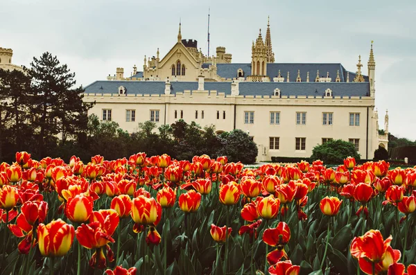 Lednický palác, Česká republika — Stock fotografie