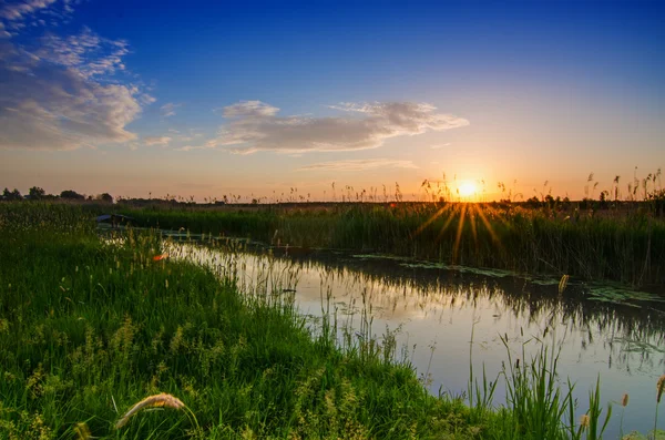 Été rural lever du soleil — Photo