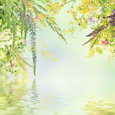 doğal çiçek arka plan