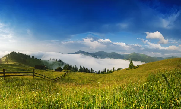 Niebla paisaje matutino — Foto de Stock