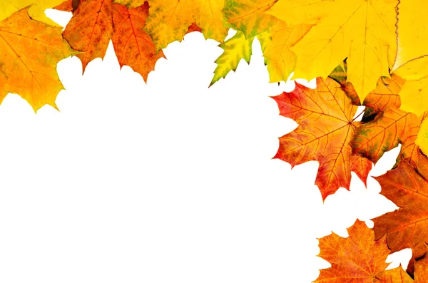 Autumn leaves frame — Stock Photo, Image