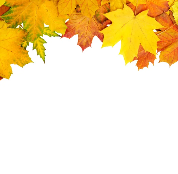 Autumn leaves frame — Stock Photo, Image