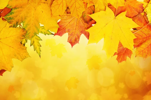 Foglie d'autunno telaio — Foto Stock